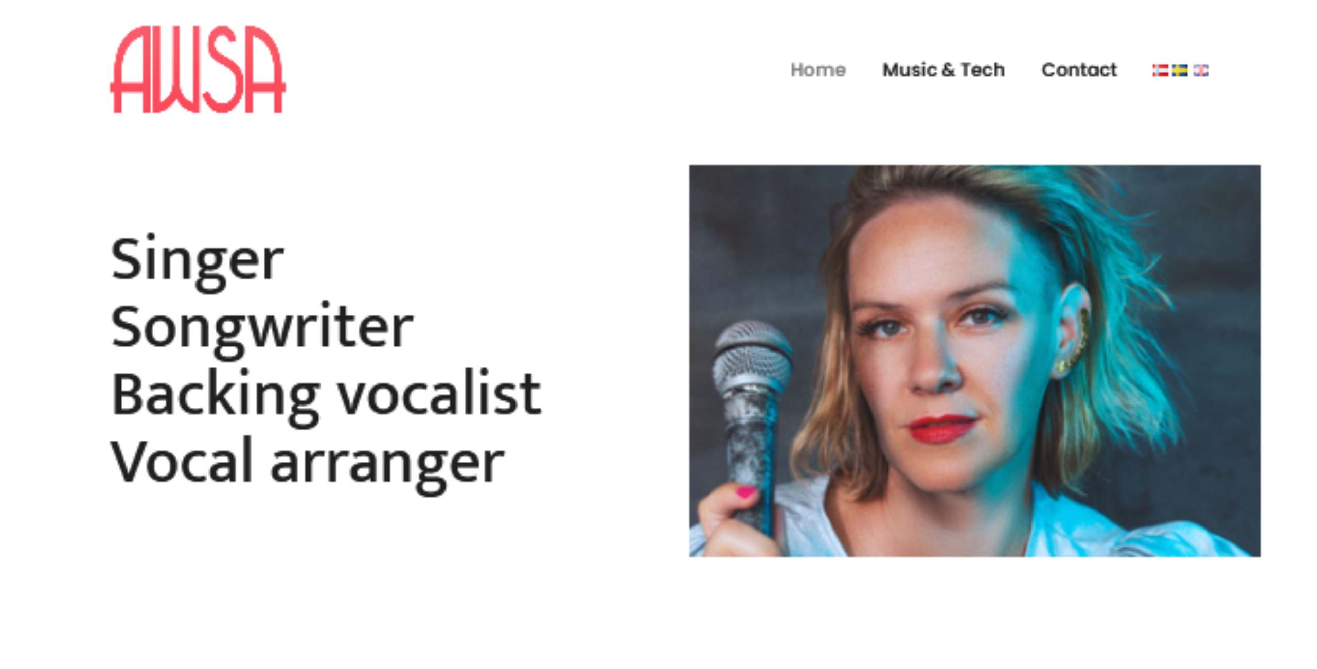 Website designed by Lucy’s Web Designs for Awsa Music, Musician / multilingual site