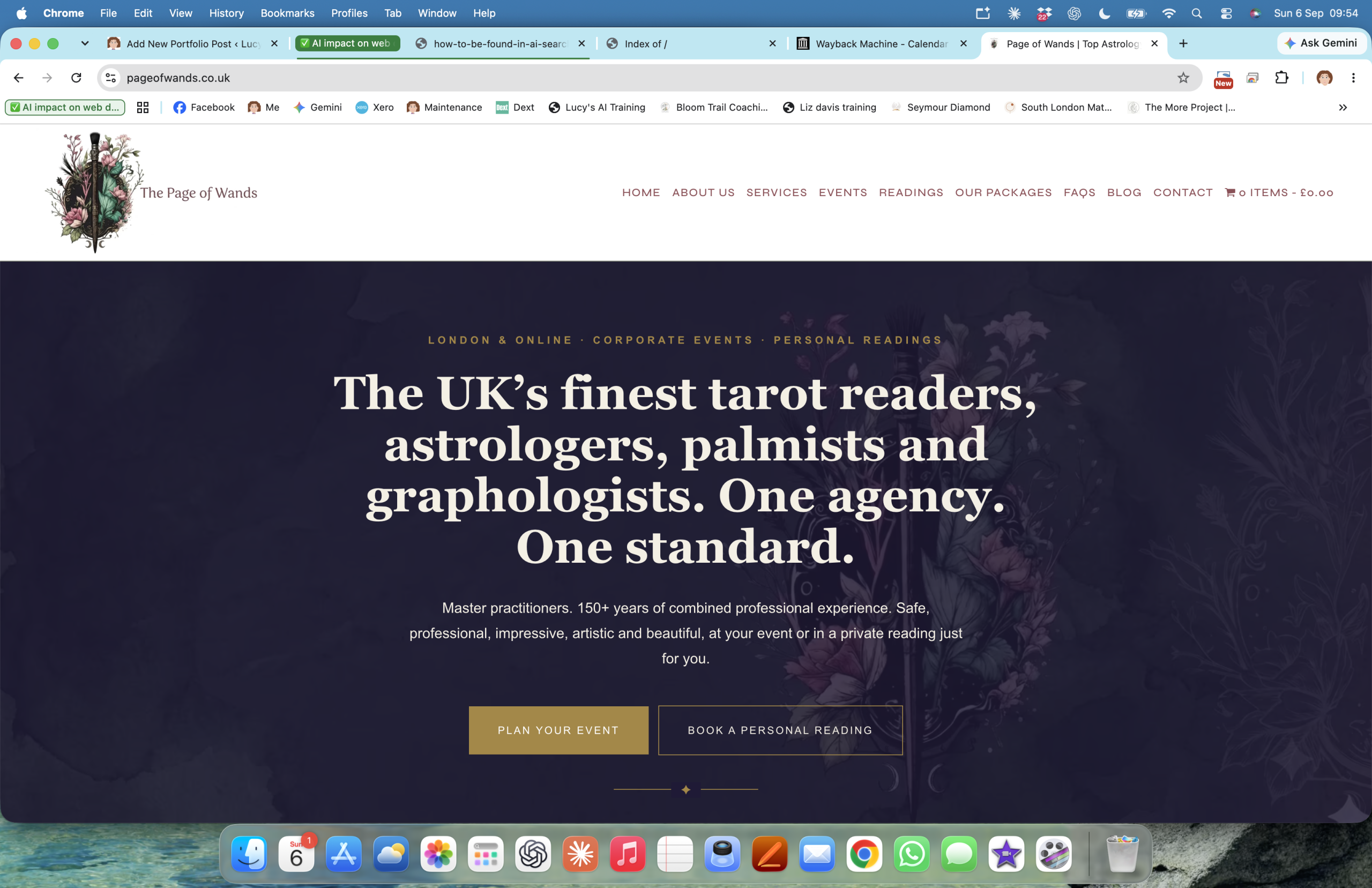 The Page of Wands recommended by ChatGPT AI search, case study by Lucy's Web Designs