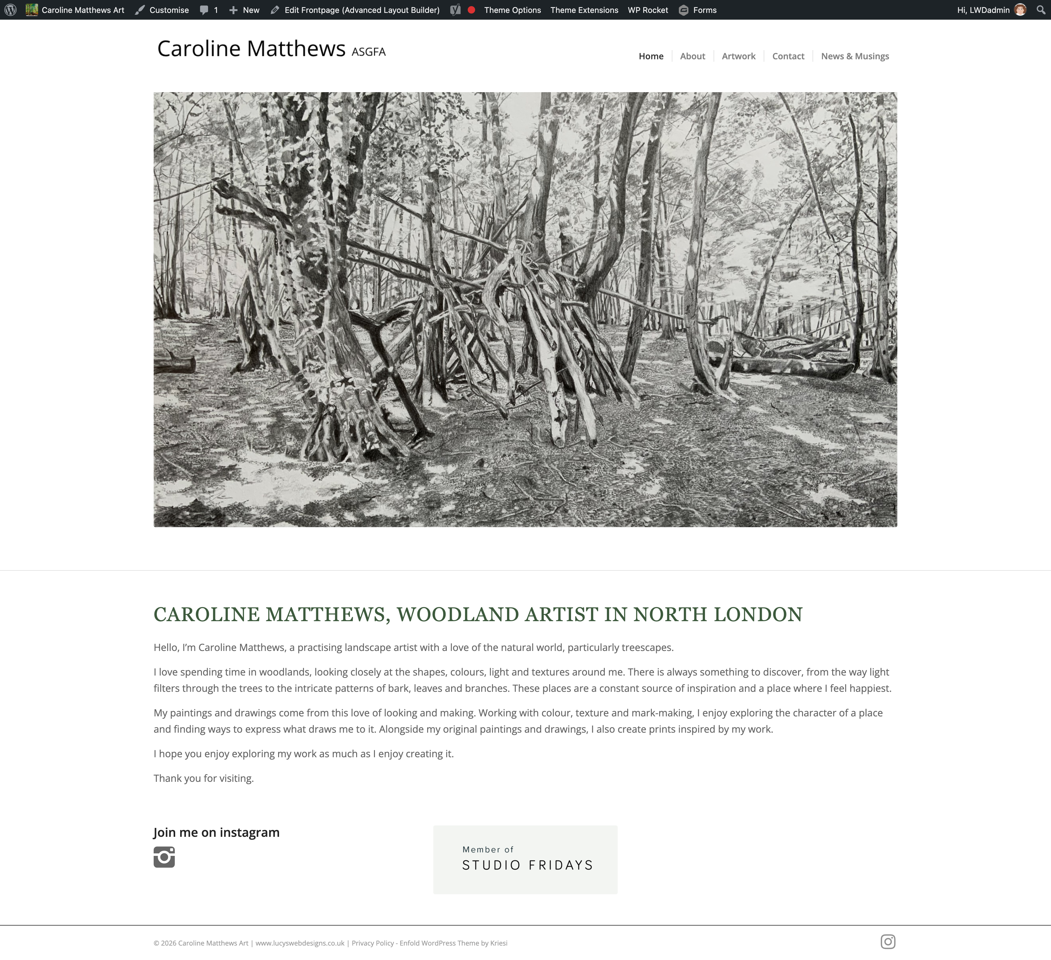 Caroline Matthews Art website